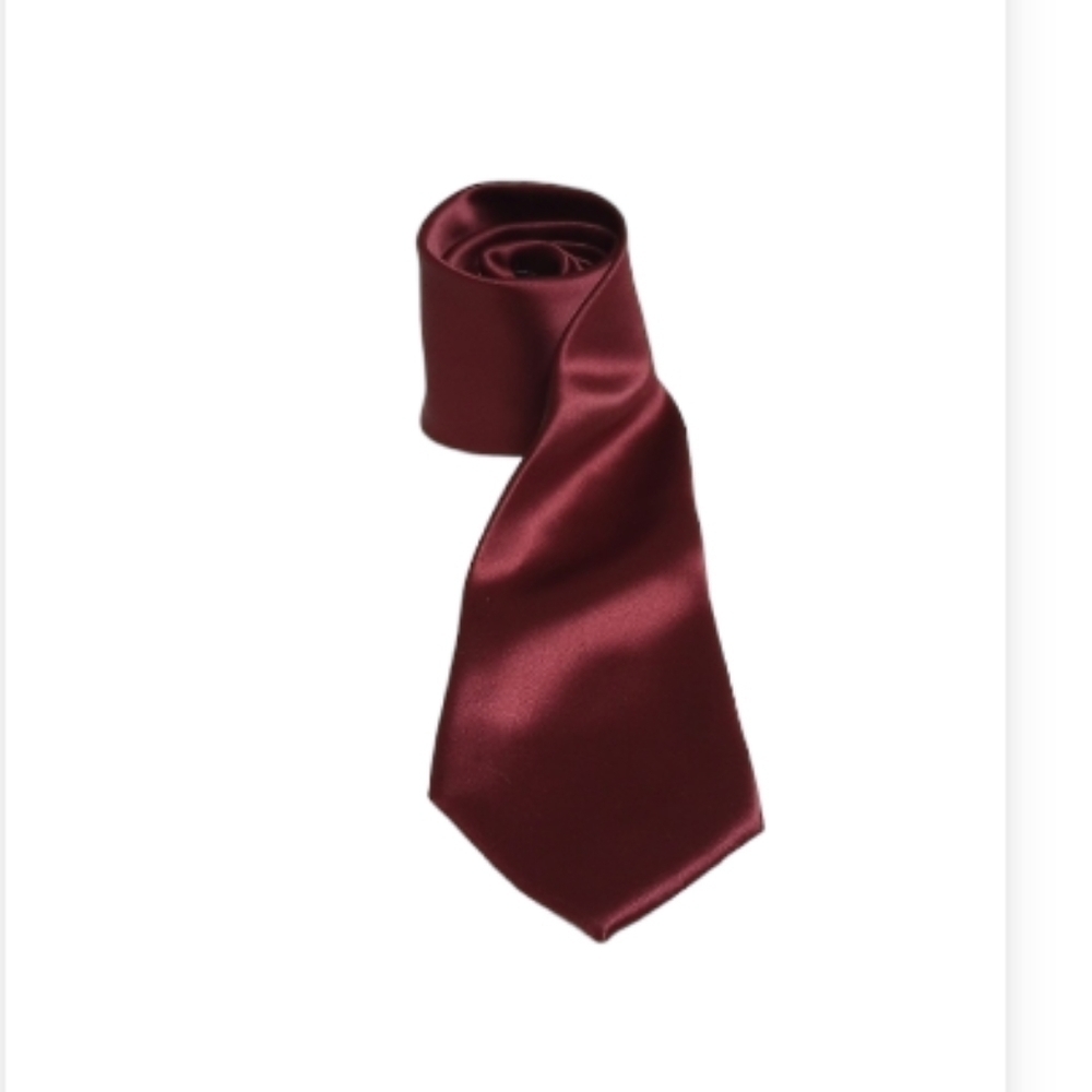Arrow Shiny Maroon/Burgundy Men's Tie 57 x 3.25